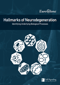 Hallmarks of Neurodegeneration 